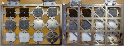 Novel Antimicrobial Cellulose Fleece Inhibits Growth of Human-Derived Biofilm-Forming Staphylococci During the SIRIUS19 Simulated Space Mission